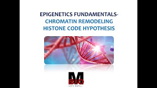 EPIGENETICS FUNDAMENTALS  CHROMATIN REMODELING  HISTONE CODE HYPOTHESIS [upl. by Hayikaz]