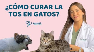 MI GATO TIENE TOS  Causas y Tratamiento  Lauvet [upl. by Yovonnda]