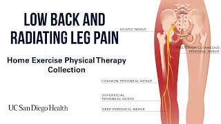 Low Back amp Radiating Leg Pain Home Exercises  UC San Diego Health [upl. by Etnohs]