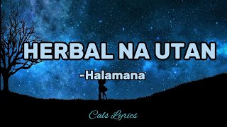 HERBAL NA UTAN  Rudy Tagsip of Halamana Lyrics [upl. by Carina687]