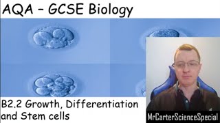 B22  Growth Differentiation and Stem Cells  AQA Biology GCSE 91 [upl. by Nahta229]