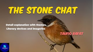 The Stone Chat by Taufiq Rafat  Taufiq Rafat  Stone chat  Detail Explanation  The Atlas of Ideas [upl. by Ciro386]