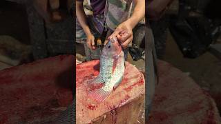 Astonishing Perfect Size Tilapia Fish Cutting Skills In Bangladesh 🫢😱 shorts [upl. by Anele]