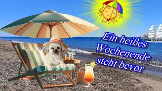 Ein schönes heißes Wochenende wünsche ich dir 🐘 liebe Grüße 🌞 [upl. by Shorter289]