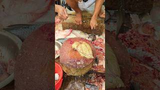 Amazing Big Rohu Fish Cutting And Huge Egg Collection 😱😱 Episode 323 shorts [upl. by Hgielrebmik]