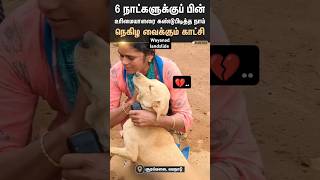 💔Wayanad landslide shorts trending shortsfeed shortvideo youtubeshorts native animals viral [upl. by Aicilav]