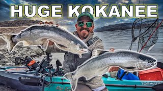 Trophy Kokanee Lake Roosevelt 4 lb Kokanee [upl. by Ahsemal]