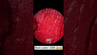 quotLipstick at 400X looks so beautifulquot underthemicroscope microscope science [upl. by Elledoj]