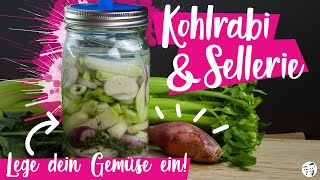 Kohlrabi amp Sellerie fermentieren  Lege dein Gemüse ein SHORT [upl. by Hirsch]