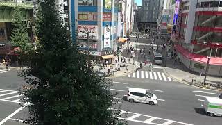 オノデンch【秋葉原ライブカメラ Akihabara live camera】 [upl. by Hyacinth213]