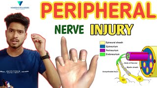 Peripheral nerve injury  Neuropraxia  Axonotmesis and Neurotmesis  Seddon classification [upl. by Lorsung225]