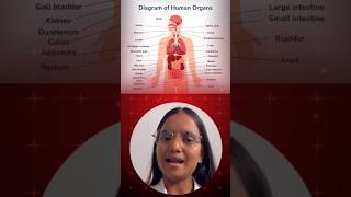 Digestive System‘s Commen sign and symptoms viralvideo education shorts [upl. by Enelyak]