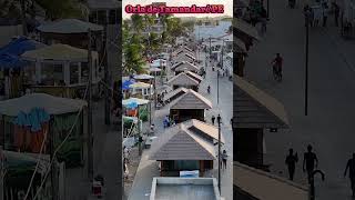 TAMANDARÉ BEACH PERNAMBUCO BRAZIL [upl. by Leval]