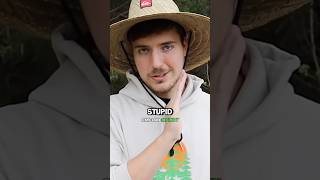 MrBeast’s INSANE Team Trees Project [upl. by Eigger]