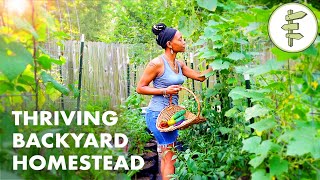 Womans Incredible Backyard Homestead Produces TONS of Food for Her Family – URBAN GARDEN TOUR [upl. by Yeta]