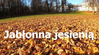 Jabłonna jesienią [upl. by Sewole]