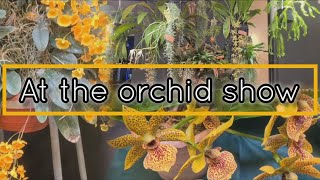 AT THE ORCHID SHOW LOOKING AT THE LOVELY BLOOMS [upl. by Nade970]