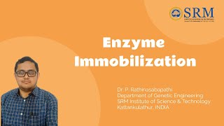 Enzyme immobilization  Enzyme Engineering  DrPRathinasabapathi  SRMGenetics [upl. by Haroppiz]