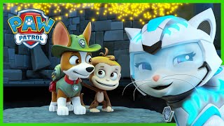 Cat Pack and Tracker save a Monkey in the Jungle  PAW Patrol  Cartoons for Kids Compilation [upl. by Ayihsa368]