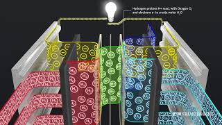 Functional principle of a fuel cell [upl. by Arze208]