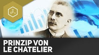 Le Chatelier  Das Prinzip vom kleinsten Zwang  REMAKE [upl. by Sera]