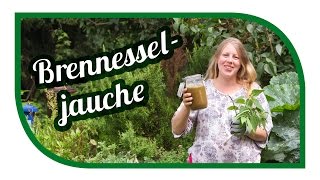 Brennesseljauche herstellen ansetzen🌱 Unser Spezialrezept 🌱 Brennnesseljauche Bester Dünger [upl. by Hteb]