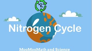 Describe Nitrogen CycleNitrogen cycle in simple terms [upl. by Martelli]