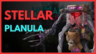 How To Use STELLAR PLANULA in Once Human  Easy Guide 2024 [upl. by Shewchuk462]