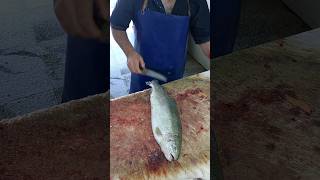 Easiest Way To Fillet A Salmon By Master Cutting Asia [upl. by Reyotal]