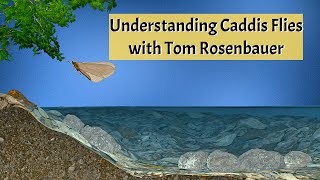 Understanding Caddisflies with Tom Rosenbauer [upl. by Carny]