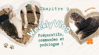 Cest le départ pour Nausicaa Elle est toujours parfaite  9 WEEKLY VLOG S2 [upl. by Ttegdirb]