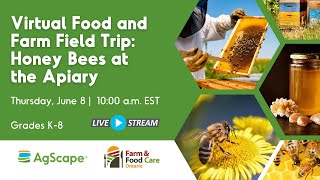 Virtual Field Trip Honey Bees at the Apiary [upl. by Vizza]