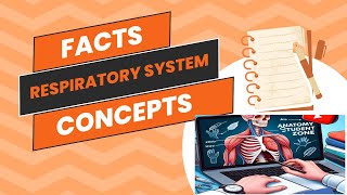 Anatomy of Respiratory System Facts amp Concepts Anatomy Student Zone [upl. by Sorazal]