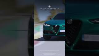 Alfa Romeo Stelvio Quadrifoglio  Driving Dynamics​ [upl. by Heppman]