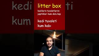 Litterbox Nedir [upl. by Dominik]