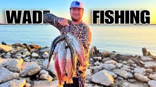 We caught HUNDREDS of SPECKLED TROUT while WADE FISHING Catch amp Cook [upl. by Carny]