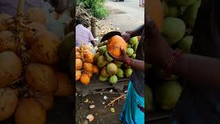 13 Seconds Coconut Water Challenge  Fresh Coconut Juice Coconut Water Benifits  Auroville shorts [upl. by Leno]