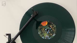 Lana Del Rey  Violet Bent Backwards Over The Grass Vinyl Visualizer [upl. by Coyle591]