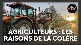 Agriculteurs  les raisons de la colère [upl. by Kirimia]