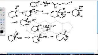 Lactone Hydrolysis [upl. by Goldie]