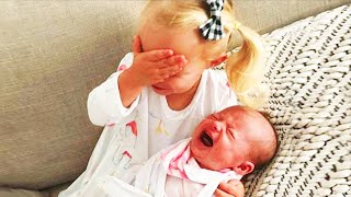 Legendary Moments When Kids Meet Newborn Babies  Funny Baby Siblings [upl. by Lanette]