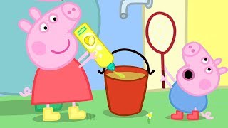 Peppa Pig and George Pig Play With Bubbles  Peppa Pig Official Family Kids Cartoon [upl. by Einitsed603]