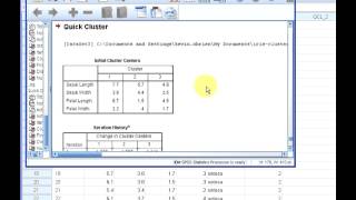 SPSS  K Means Clustering [upl. by Yeldud]