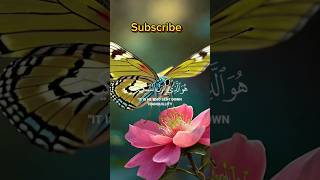 surah fath سوہ الفتح relaxingsounds quranrecitation short love [upl. by Annie]