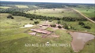 FAZENDA A VENDA TOCANTINS ARAGUAÍNA [upl. by Zacharia]