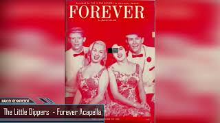 The Little Dippers  Forever Acapella Made By JoeyOnTheBeat [upl. by Ahsemit]