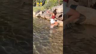 Mans Crocodile Prank on Wife shortsvideo [upl. by Airetahs]