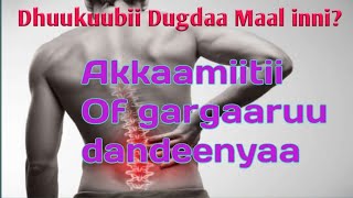 Dhuukuubii Dugdaa Maal Inni Akkaamiitii of gargaaruu dandeenyaa Hirko man Dr calaa  dr Abdisa [upl. by Dennet232]