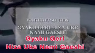 Gyaku Geri Hiza Uke Nami Gaeshi [upl. by Kobylak]