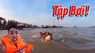 NTN  Thả Chó Alaska Xuống Sông My Alaska Dog Learned To Swim And Almost Drowned [upl. by Nylaj582]